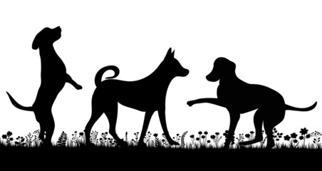 dogs playing silhouette on white background, isolated, vector