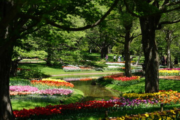 Obraz premium 描いたような世界、公園の一角