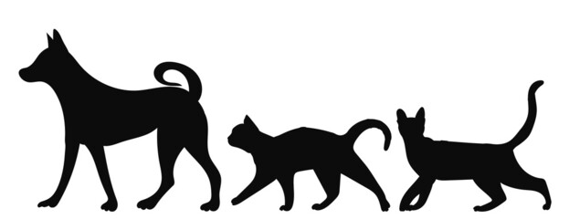 dog and cats silhouette on white background, isolated, vector