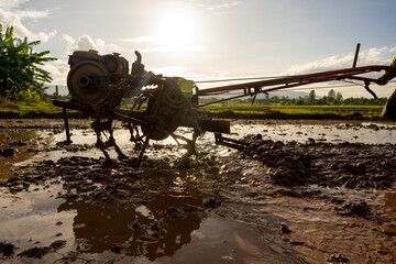 Plowing in mud of rice field on plantation season
