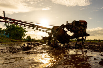 Fototapeta premium Plowing in mud of rice field on plantation season
