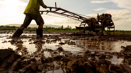 Plowing in mud of rice field on plantation season