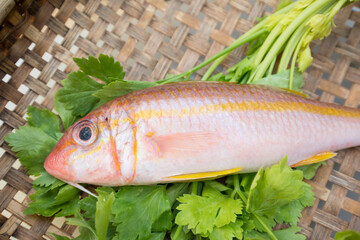 Fresh raw fish in wood tray show ingredients for sashimi or sushi