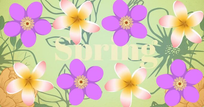Spring text banner and flowers icons against floral design pattern on green background
