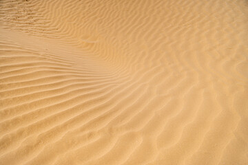 sand and wind pattern on beautiful yellow white sand in high resolution with slight blur