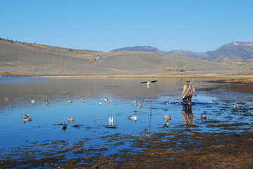 A waterfowl hunter surveys the decoys spread 