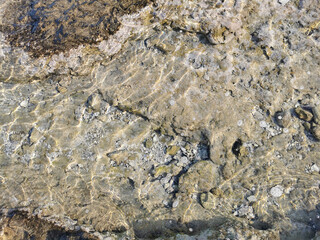 The coast of the Mediterranean Sea, clear water with reflections of the sun's rays, through which you can see the stone bottom. Background.