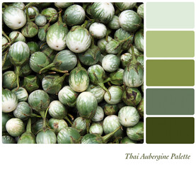 Thai Aubergines in a colour palette with complimentary colour swatches
