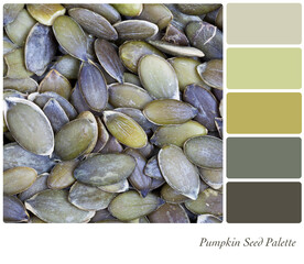 Pumpkin seeds in a colour palette with complimentary colour swatches