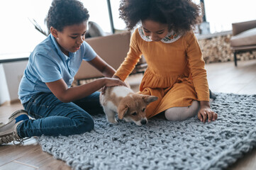 Kids and the dog playing together on the floor