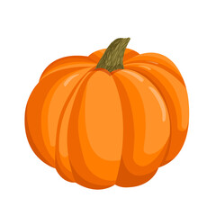 Vector illustration of an orange autumn pumpkin.