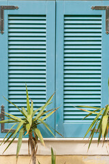 blue window with two plants