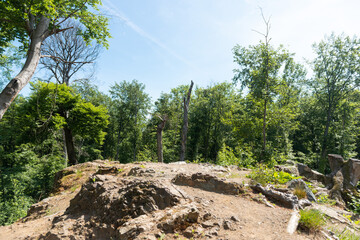 tree on the rocks natural reserve
national park banner, background, stage
