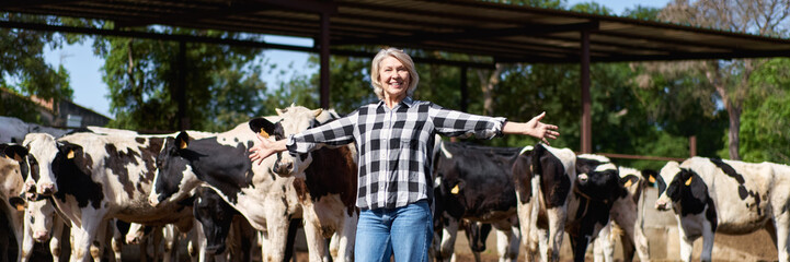 mature woman worker at cow livestock farmers on the background of cows