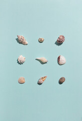 Different kinds of seashells on the blue background top view 