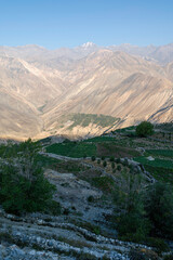 Naklejka premium Elevated view of village farmland demarcated by dry stone walls acrossed terraced fields out towards Himalaya mountains in Nako, India.