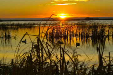 Sunset on a Saskatchewan lake 
