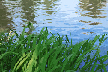 Obraz premium illustration green grass on the background of water