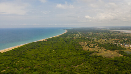 Aerial view of sandy beach with palm trees and ocean surf with waves. Sri Lanka.
