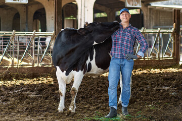 Farmer worker man at cow farm, livestock ranches