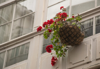 Decoración ventana con flores. 