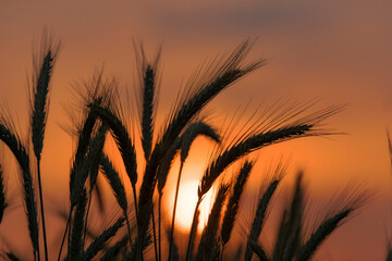 sunrise © Beata