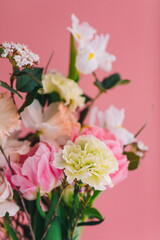 bouquet of carnations, peony tulips, roses and daffodils on a pink background close-up