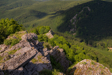 The rocky peak of the mountain protrudes from the forest