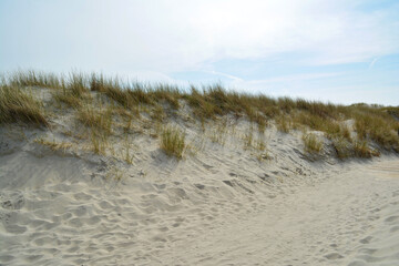 Nordsee Strand auf Langeoog, Strand auf Insel Langeoog, Langeoog Strand und Dünen	