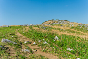 晴天の丘の小道