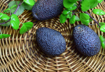 Zenith view, fruits, avocados on a wicker base, decorative natural plant and copy space.
