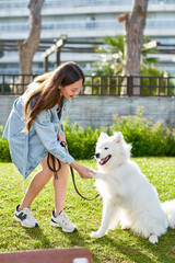 Samoyed dog with her female owner at the park playing together
