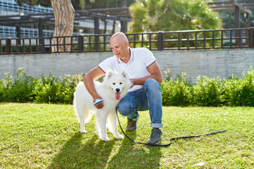 Samoyed dog with her man owner at the park playing together