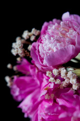 pink and white flowers. pink and white peonies on a black background. Bouquet of flowers.