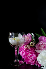 wine and flowers. still life with flowers. Bouquet of white and pink peony on a black background. Flower in a glass of water