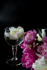 wine and flowers. still life with flowers. Bouquet of white and pink peony on a black background. Flower in a glass of water