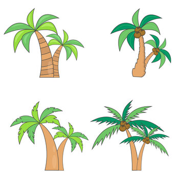 Set of different paired palm trees with coconuts. Vector illustration. Isolated on white background.