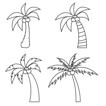 Set of different palm trees with coconuts in a line style. Isolated on white background. Vector illustration.