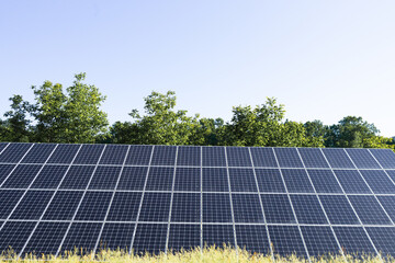 Blue solar panel surrounded by green trees
