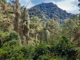 Landscape mountain