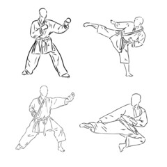 the vector illustration of the karate fighter