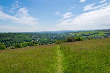 Obraz premium landscape with grass and blue sky