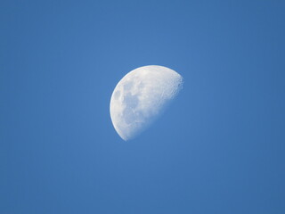 day moon with blue sky © Joaquim Ritz