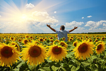 Successful Ukrainian Farmer in a sunflower field. Senior farmer man is standing and smiling in a...