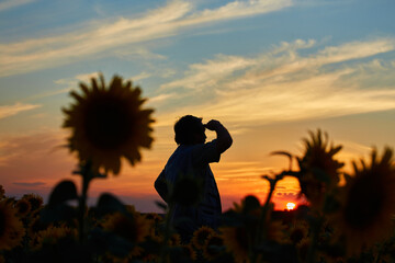 farmer standing in a sunflower field