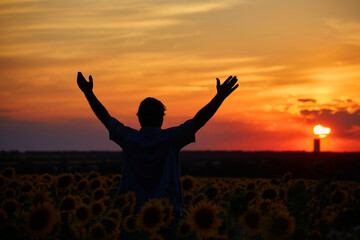 Fototapeta premium Silhouette of happy successful corn farmer in cornfield in sunset with arms raised in the air