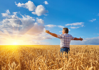 farmer standing in a wheat field