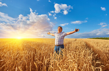 Naklejka na ściany i meble An adult man in a farm field among ripe cereals and raised his arms to the sides.