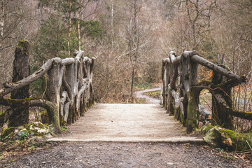 Un pont vers le chemin de la nature