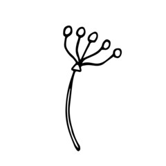 An unusual flower with a long stem and petals in circles. Illustration of a flower on a white background isolated